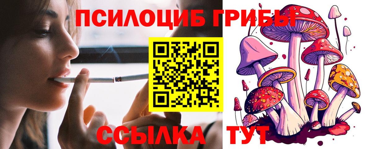 Галлюциногенные грибы мицелий Ишимбай