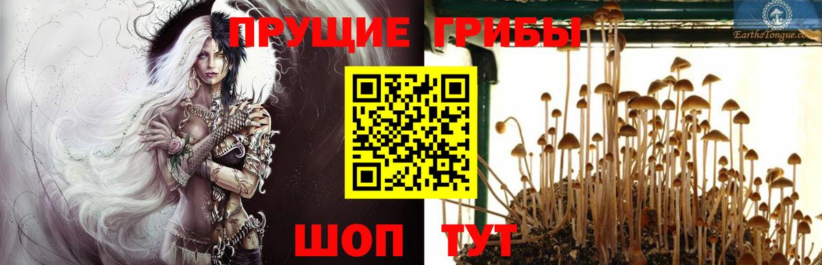 Псилоцибиновые грибы GOLDEN TEACHER  Вход с VPN  Галлюциногенные грибы Magic Shrooms  Ишимбай 
